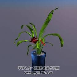 C4D Plant 盆景植物3D模型下载