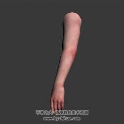 写实风男人手臂 四角面肢体 3D模型资源百度网盘下载