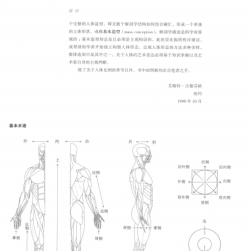 解剖學(xué) 藝用人體美術(shù)素材 PDF格式 百度網(wǎng)盤下載