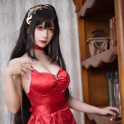 紅裙黑絲大鳳[11張][97mb]