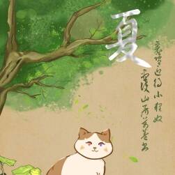四季貓咪-夏