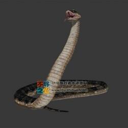 snake 蛇Max模型