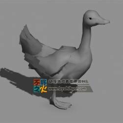Duck 鸭子Max模型