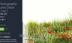 unity 精品草地問禮包 HQ Photographic Textures Grass Pack Vol.1