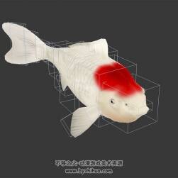 鲤鱼3DMax模型 带绑定游动动作下载