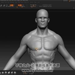 Zbrush 人體解剖身體肌肉視頻教程
