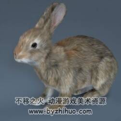Rabbit C4D寫實(shí)兔子3D模型下載