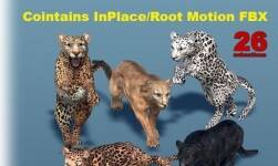 Big Cats Bundle 3 pcs 1.1