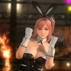 doa5 穗乃果 兔女郎 高精3D模型資源百度網(wǎng)盤下載
