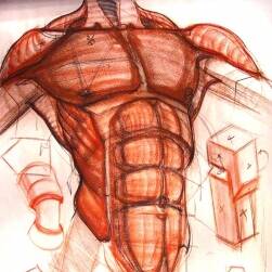 Charles Hu 人体肌肉手绘参考分享 141P