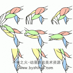 人体肌肉动作动态 GIF格式素材参考资料