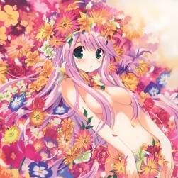 畫師 QPflapper 插畫壁紙圖包分享 137P