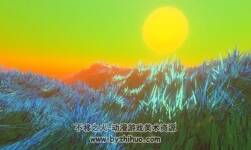 DirectX 11 Grass Shader 1.8.2