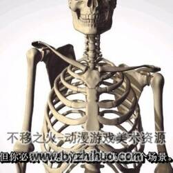 最新！proko系列解剖高級(jí)付費(fèi)版中文字幕~~~~中文最新更新到28！