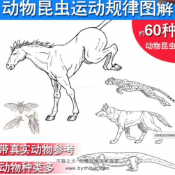 動物昆蟲動態(tài)加圖解 美術(shù)素材分享下載 888P