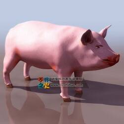 pig 肥肥的猪 3DS模型
