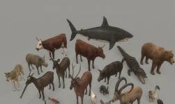 Animal pack deluxe 1.0