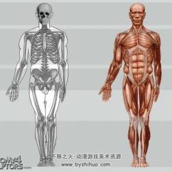 人體結(jié)構(gòu) 真實(shí)結(jié)構(gòu)詳細(xì)解析 繪畫(huà)參考素材資料 PDF百度網(wǎng)盤(pán)下載