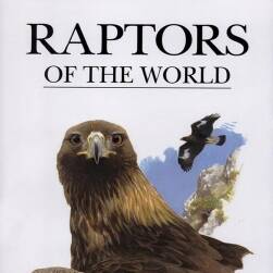 《Raptors of the World》世界猛禽图鉴 猫头鹰/猎鹰 绘画参考素材