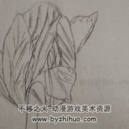 奧古斯都