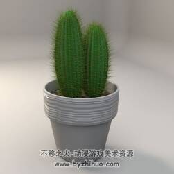 Cactus 仙人掌盆景C4D3D模型分享下载