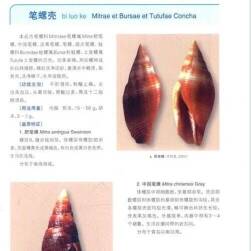海洋生物圖鑒 全3冊 PDF格式 百度網(wǎng)盤下載