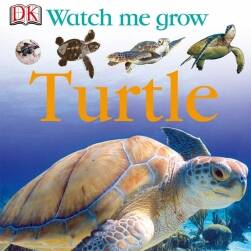 turtle 龟类 资料参考集