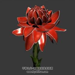 火炬姜 max模式下載 3D模型 四角面