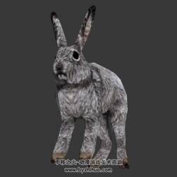 呆板灰兔子3DMax模型分享下載