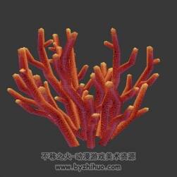 珊瑚3D模型
