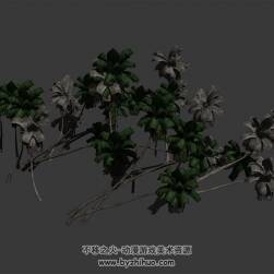 椰子樹(shù) max模式下載 3D模型