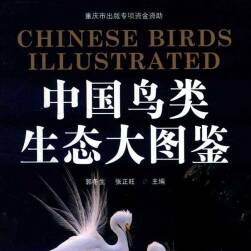 中国鸟类生态大图鉴 鸟类参考素材 PDF下载 百度网盘下载