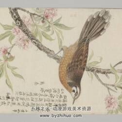日本帝室博物馆-百鸟异兽图 鸟类图谱PDF格式网盘分享