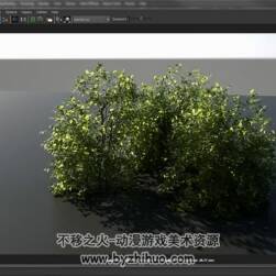 MAYA & Mental ray 逼真的植物视频教程