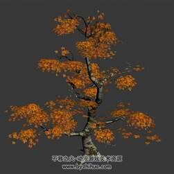 大冠幅枫树 3D模型下载 四角面 max格式