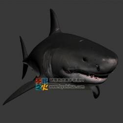 深海霸主 鲨鱼 3D模型