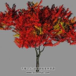 繁茂的楓樹(shù) Max模型