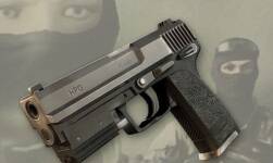 WA: Pistol 1.0