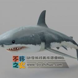 Shark Model 鲨鱼3D模型