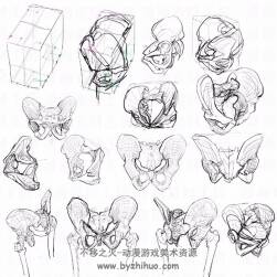 人體繪制參考 各個(gè)部位繪畫(huà)方法圖文教程下載 900P