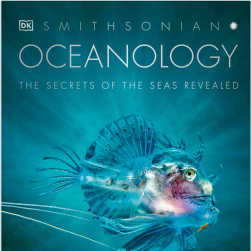 oceanology 海洋学-the secrets of the seas revealed PDF下载观看