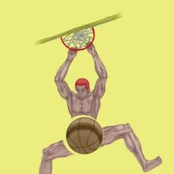 灌籃高手 同人 人體結(jié)構(gòu)