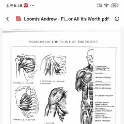 人体素描Loomis Andrew - Figure Drawing - For All It's Worth PDF分享参考