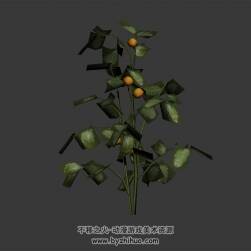 柿子树 3D模型下载 四角面 max格式