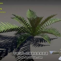 Fern Pack 南方植物3D模型fbx obj分享下载