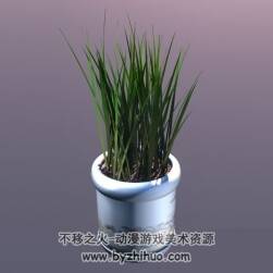 绿草盆栽植物C4D3D模型分享下载