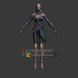 美女 金发 精灵 铠甲 战士模型