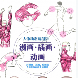 人體動(dòng)態(tài)解剖學(xué) 漫畫·插畫·動(dòng)畫 PDF格式