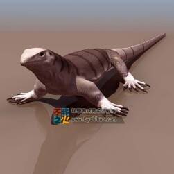 Lizard 蜥蜴 Max模型