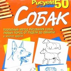 50种狗的绘画方法 外国狗的手绘教程资源 百度网盘下载